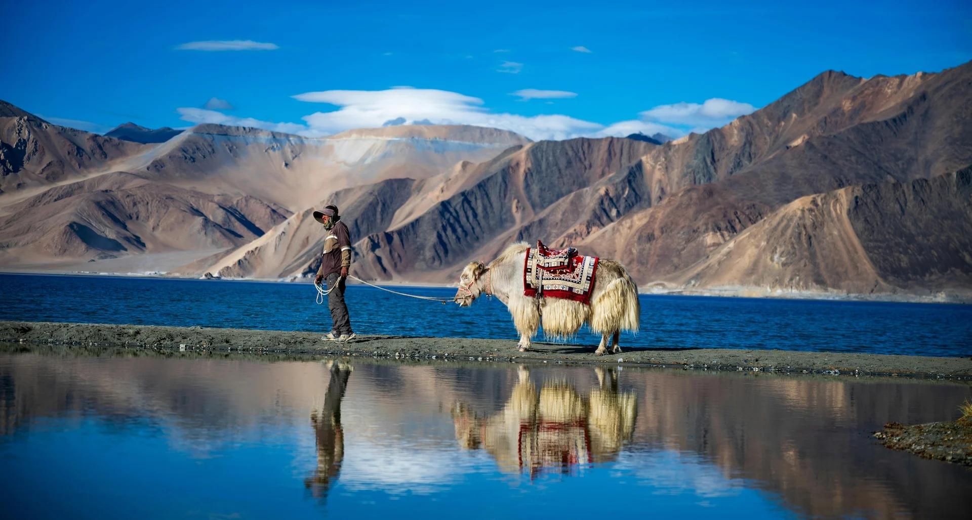 ladakh10_3446