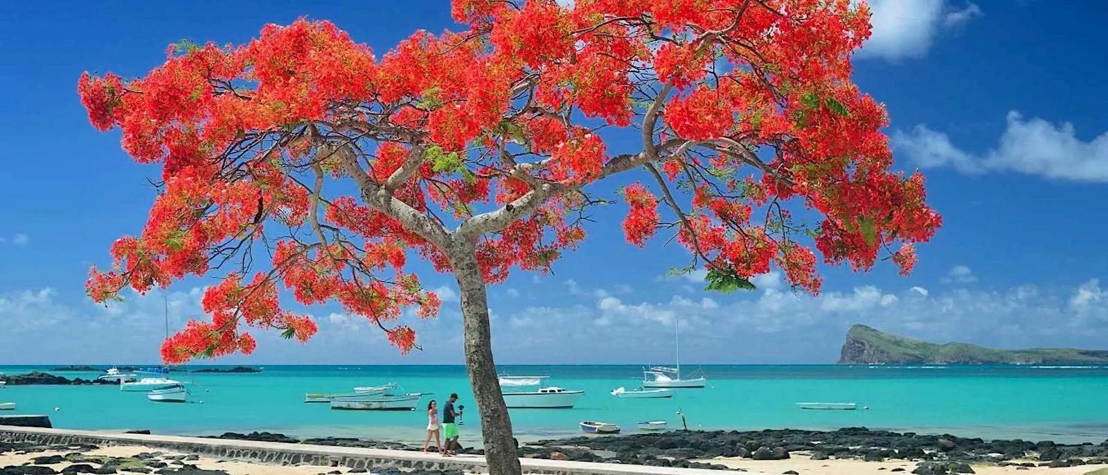 Mauritius11_copy_4663