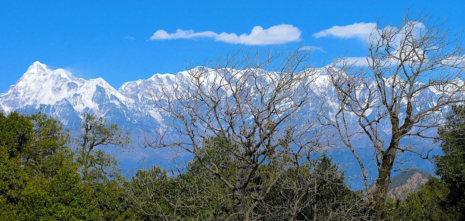 Munsiyari1_7241