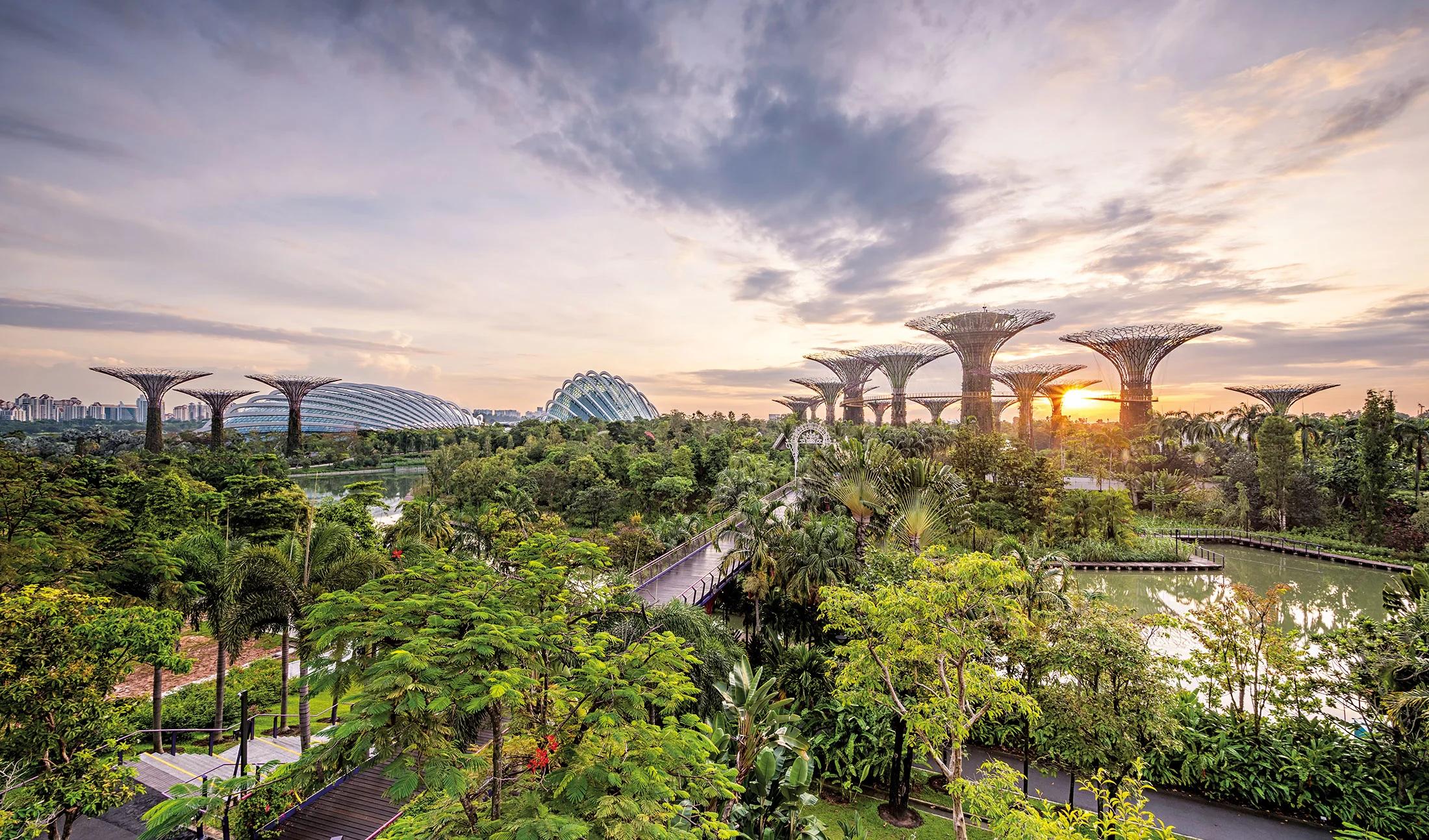 Singapore_City_Tour_pacakges_4671