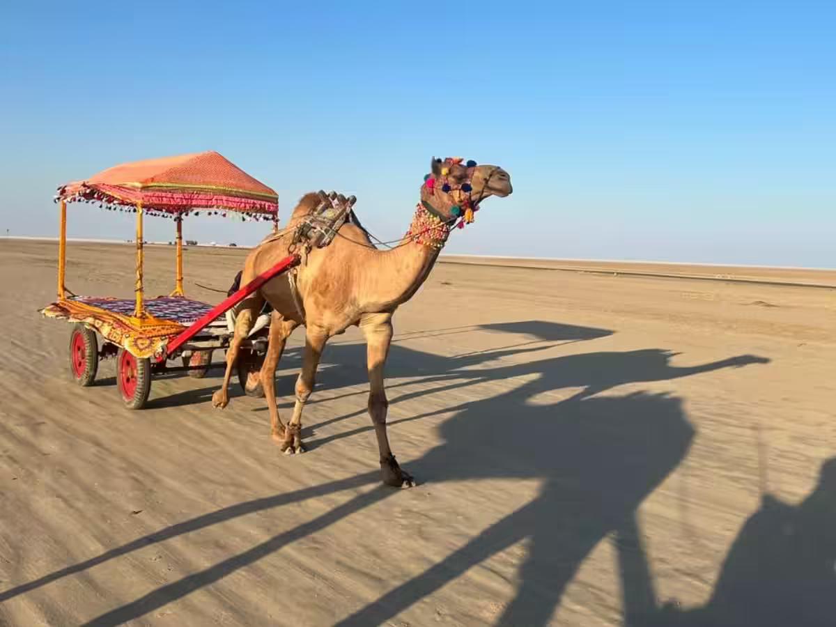 rann_of_kach_6079.avif