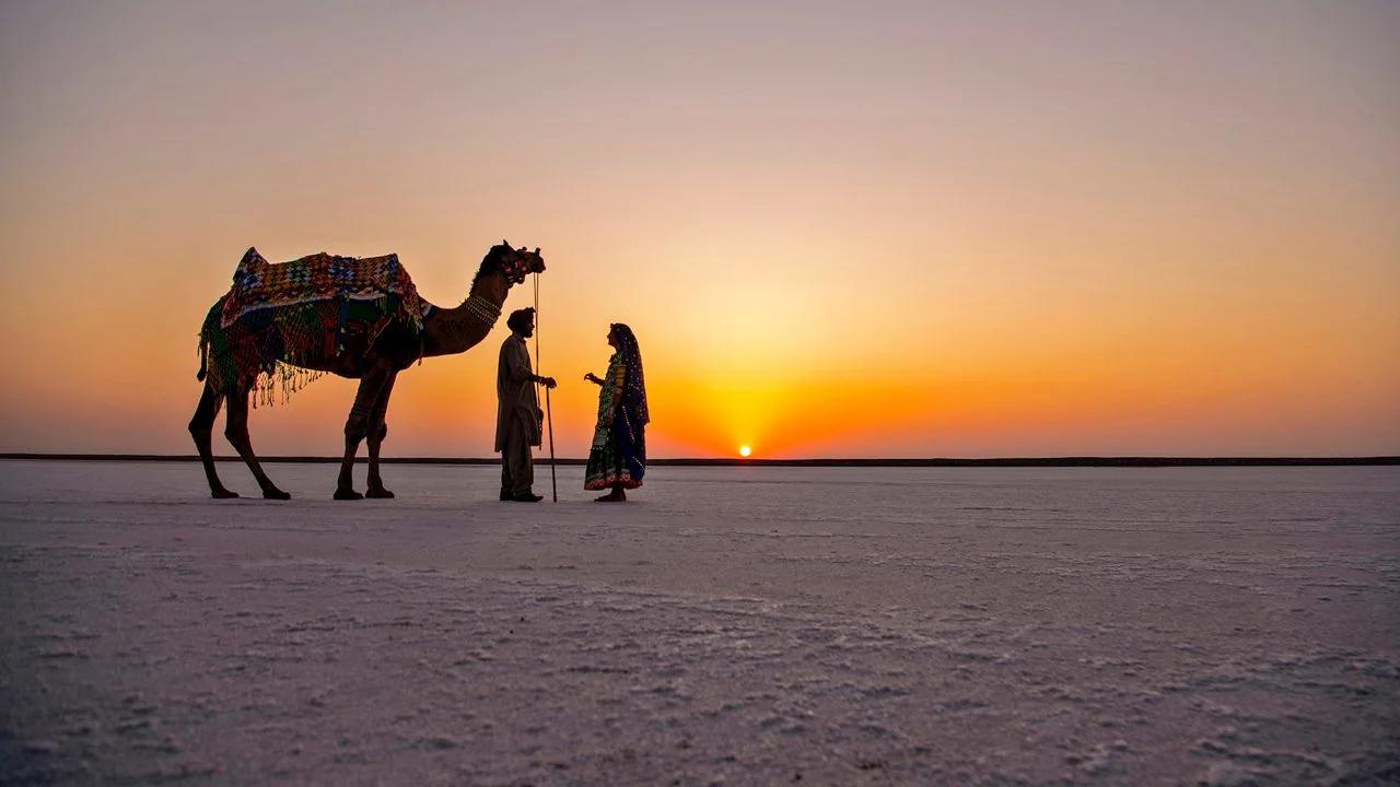 rann-of-kutch-kutch-gujarat_8775