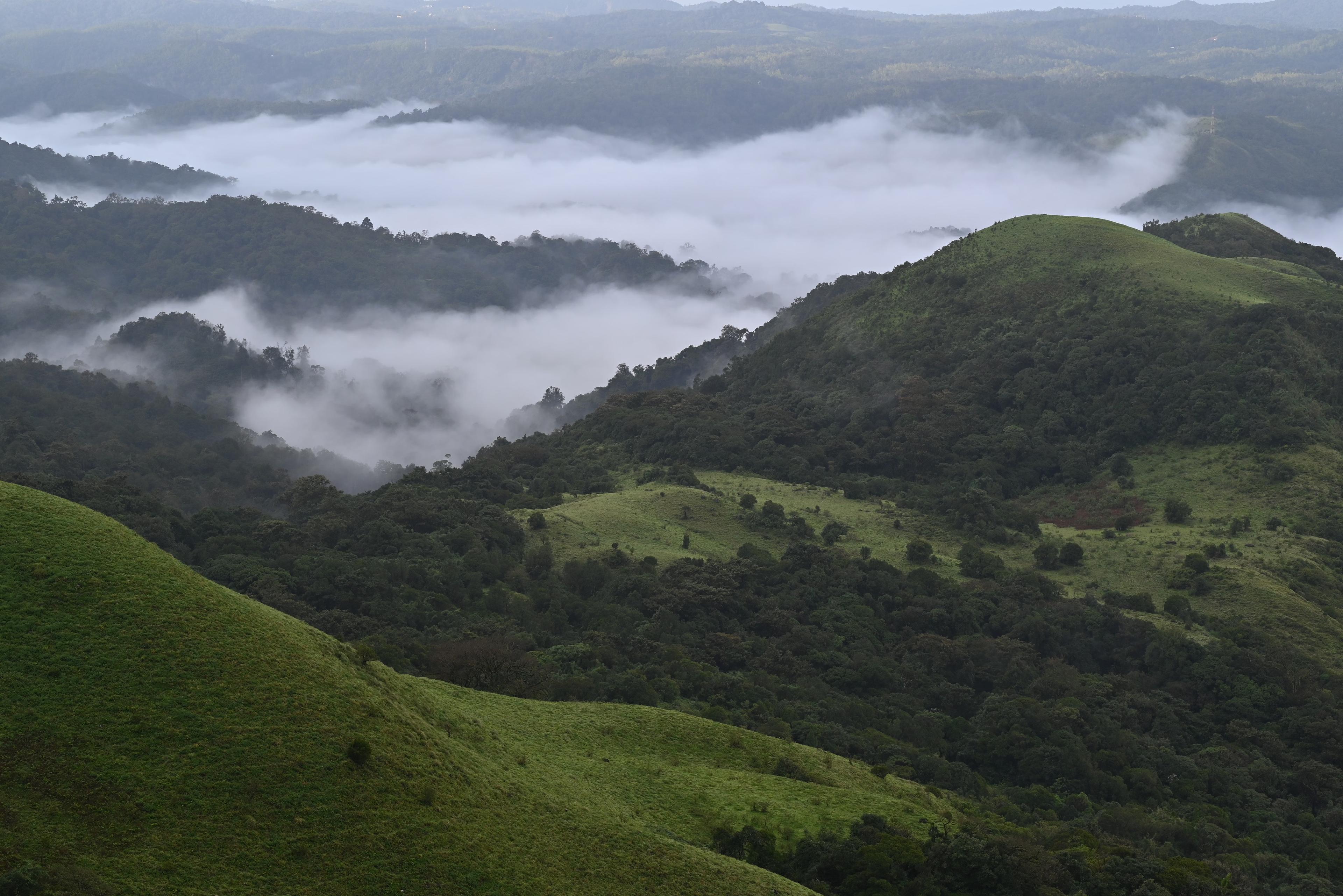 ooty_8750.avif