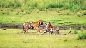 Melghat-Chikhaldara Tiger Reserve